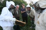 Seminar o biodinamičkom pčelarstvu od  26.03.2016.